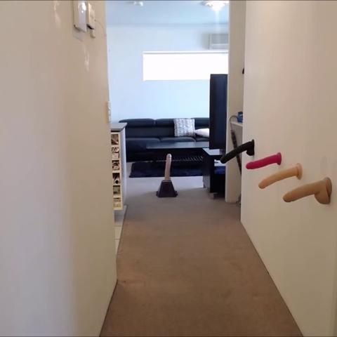 Winniecooper – Wall Of Cocks